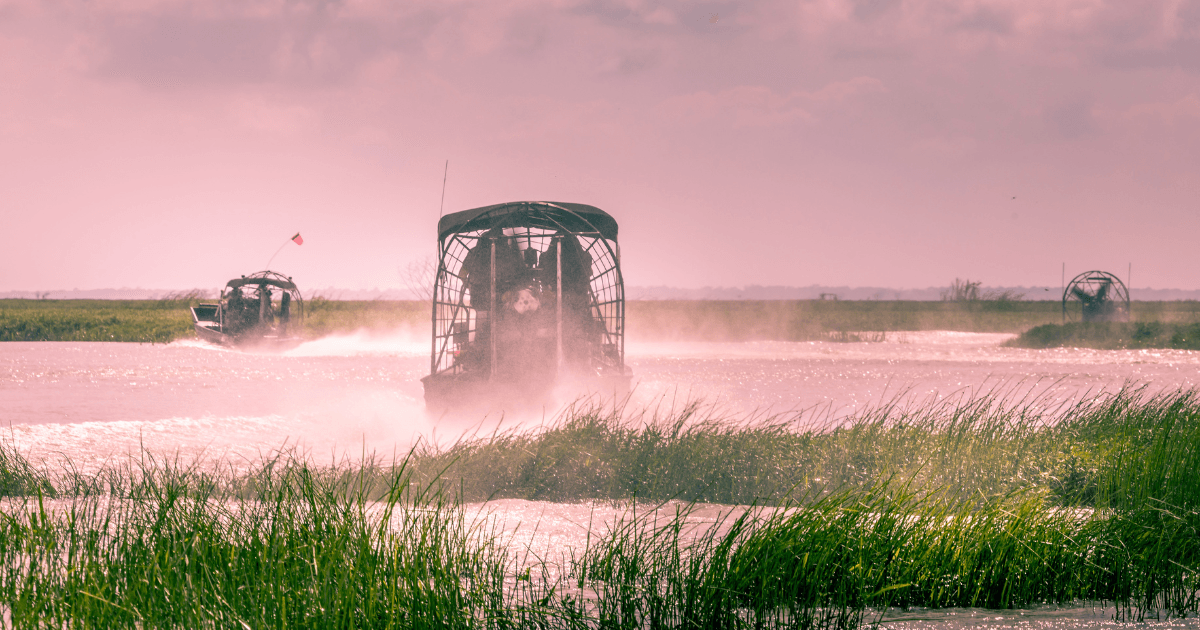 air boat tour port canaveral fl excursion