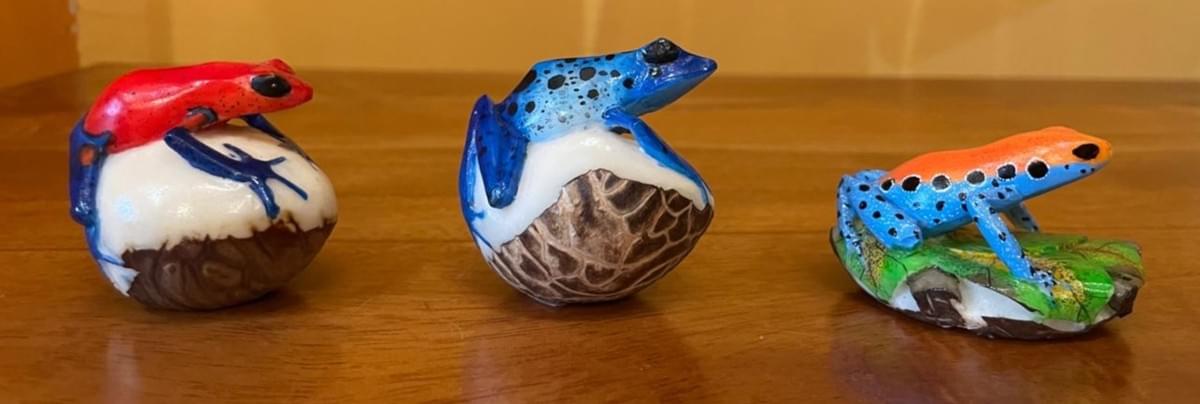 At Galeria Namu, we prioritize fair-trade practices that ensure artisans receive immediate and equitable compensation for their work, preserving their craft and culture. Fair-Trade Practices Our Commitment Galeria Namu is a premier fair-trade gallery in San José, Costa Rica, dedicated to preserving the authentic artistic traditions of Central America’s indigenous and folk communities. Named after the Bribri word for jaguar, the gallery provides a vital platform for the region's eight indigenous tribes, offering a curated collection of vibrant Boruca masks, intricate Wounaan basketry, and hand-carved tagua nut art. By operating on a strict fair-trade model that ensures immediate and equitable payment to artisans, Galeria Namu serves as both a cultural sanctuary and an educational hub, connecting global visitors with the rich, ancestral heritage of Costa Rican craftsmanship.