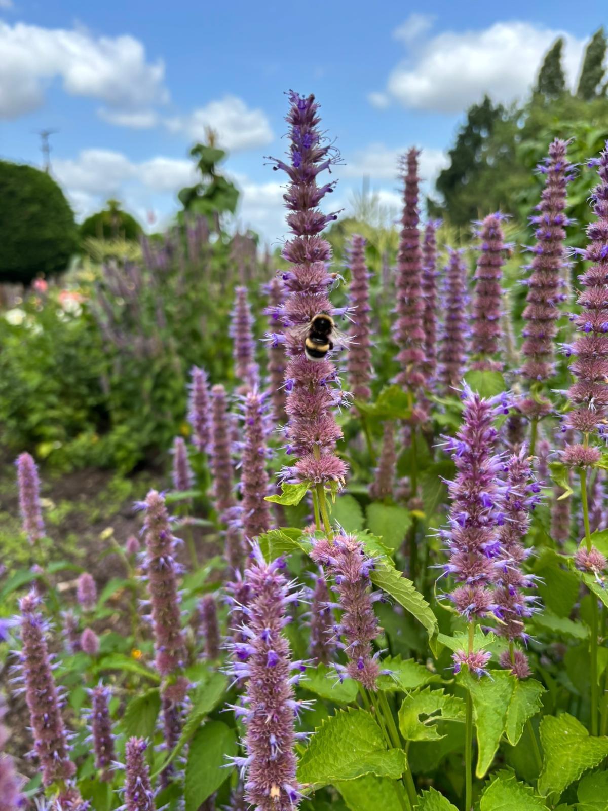 Begin your journey to inner healing! Restore Your Balance As holistic therapist is it my mission to you to guide at the reconnecting with your true essence. With various intuitive healing techniques and supportive tools help I you contact to make with the inner wisdom and self-healing power that already in you present is.My working method focuses on the restoring of balance – emotional, mental, physical and spiritual – so that all areas in your life again in harmony can come. Together we walk the path to the best and most authentic version of yourself, by again connection to make with the divine energy that in every person present is.Whether you now on search are for clarity, healing, inner peace or a deeper feeling of meaning, I support you gladly on your transforming journey.