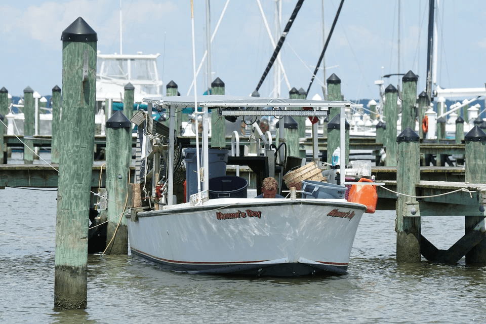 Weisidun Yacht designs and builds premium aluminum fishing, work, patrol, utility, and passenger boats.