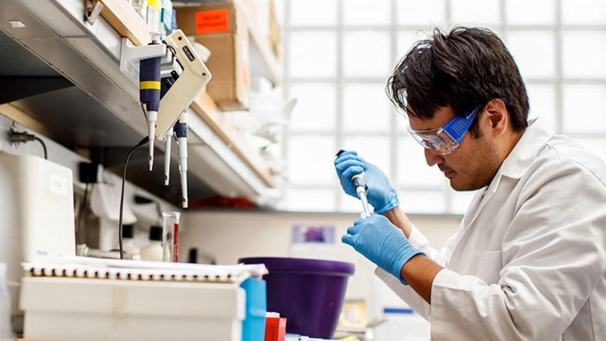 Basic knowledge and basic methods of granular testing