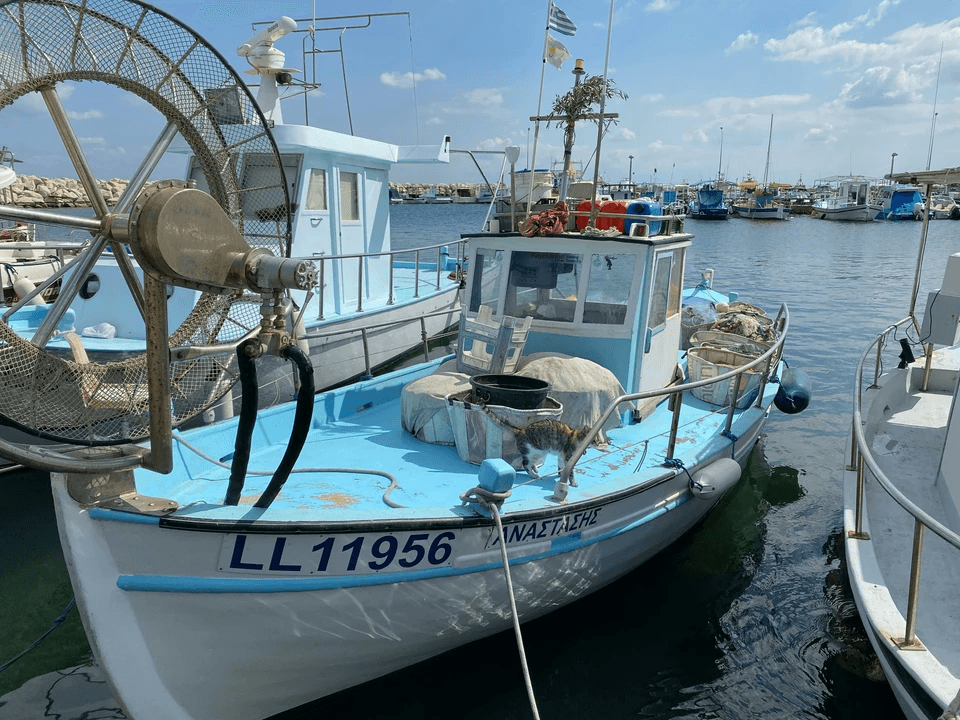 Weisidun Yacht designs and builds premium aluminum fishing, work, patrol, utility, and passenger boats.