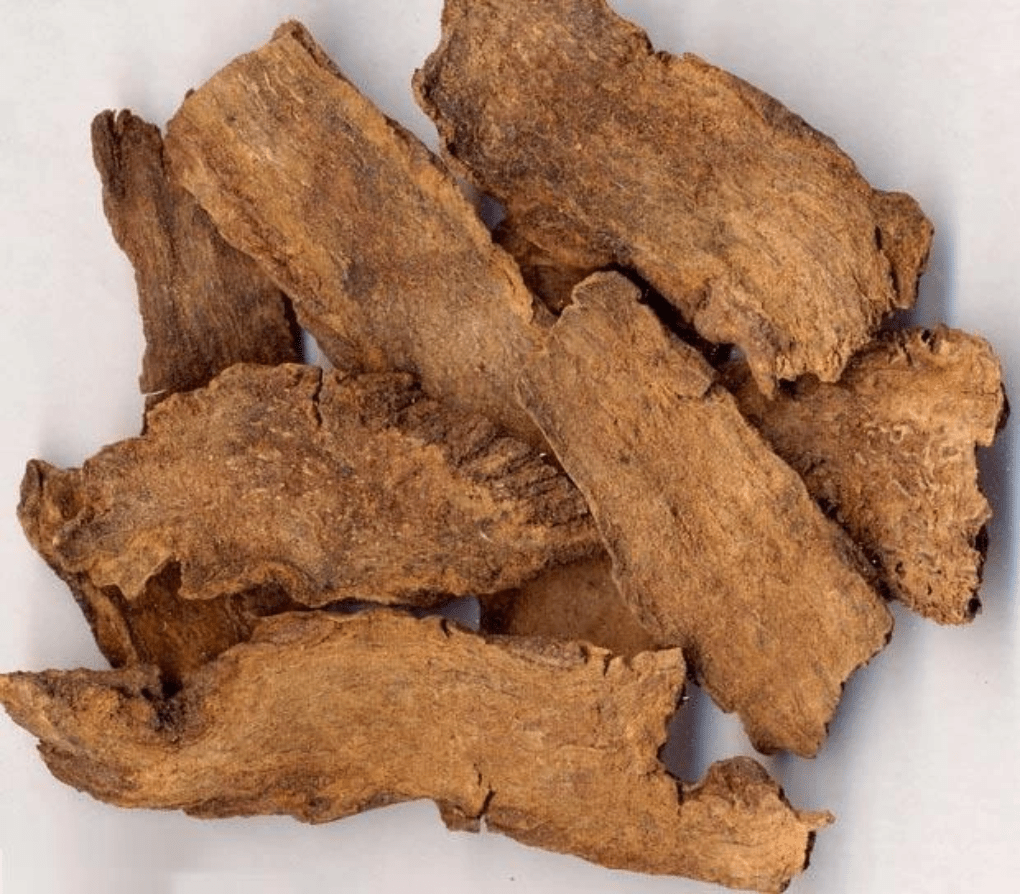 Section image