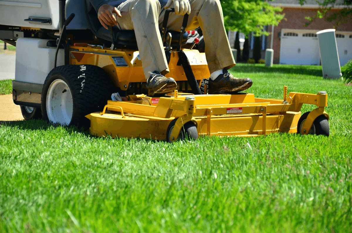 Lawn Treatment Tips for a Lush and Healthy And Balance...