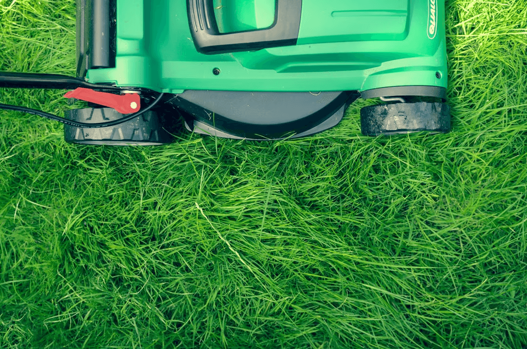 Lawn Treatment Tips for a Rich and Healthy Backyard