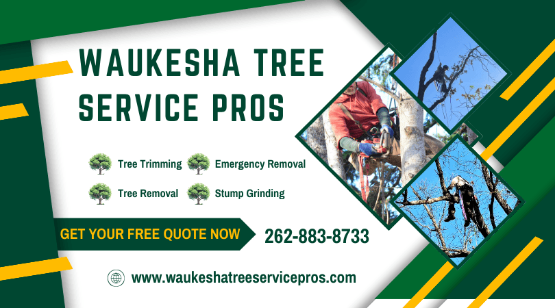 Tree removal Milwaukee County, WI and greater southeastern WI