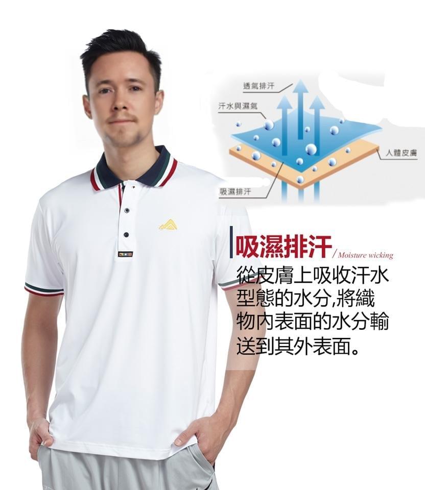 極致酷涼工藝機能立挺短袖POLO衫(DM2007 黑色/白色/丈青)