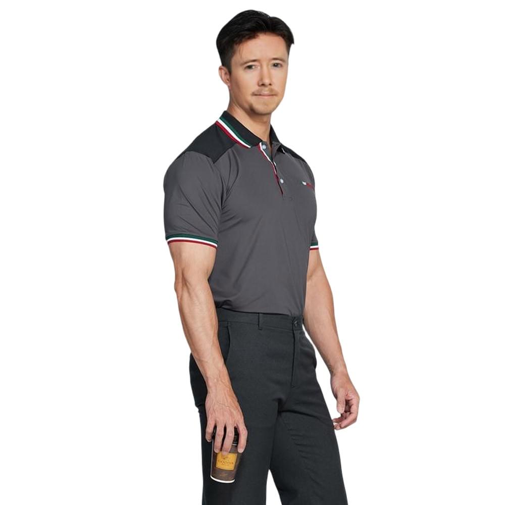 男款立領條紋沁涼精品POLO衫(DM2404 四色可選)