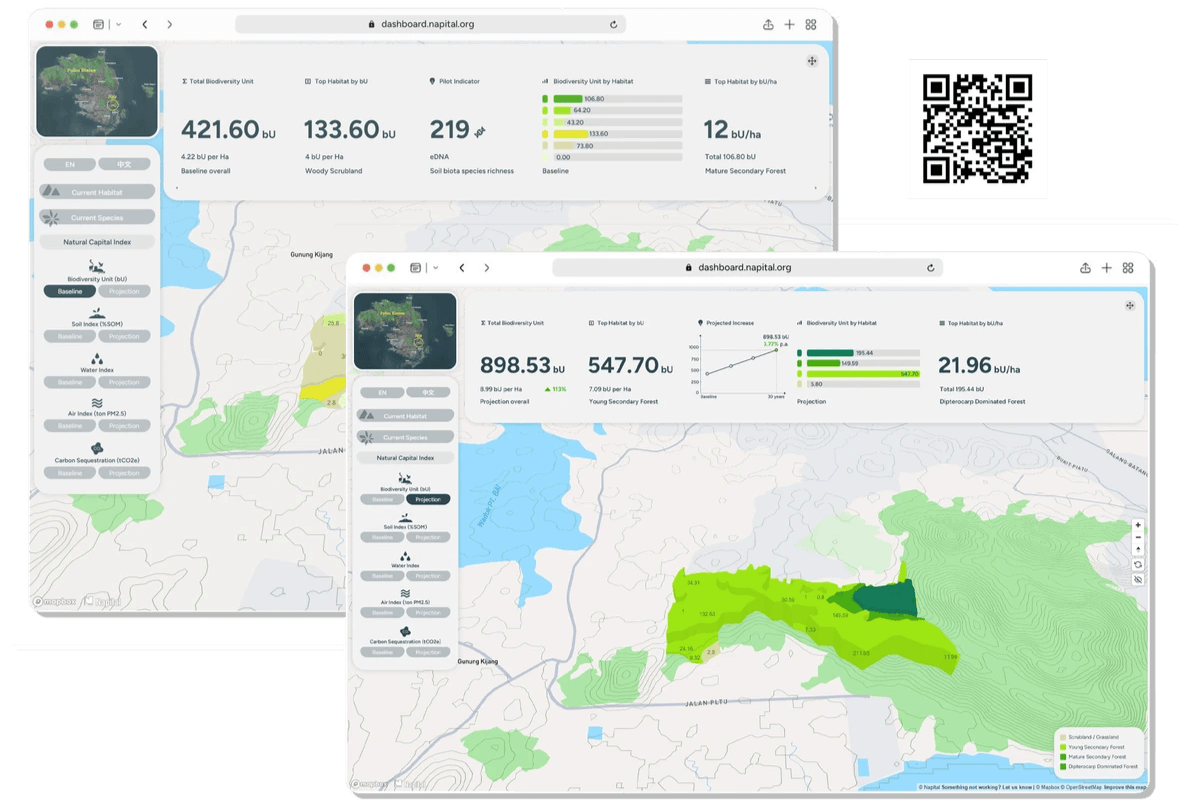Natural Capital Index Dashboard