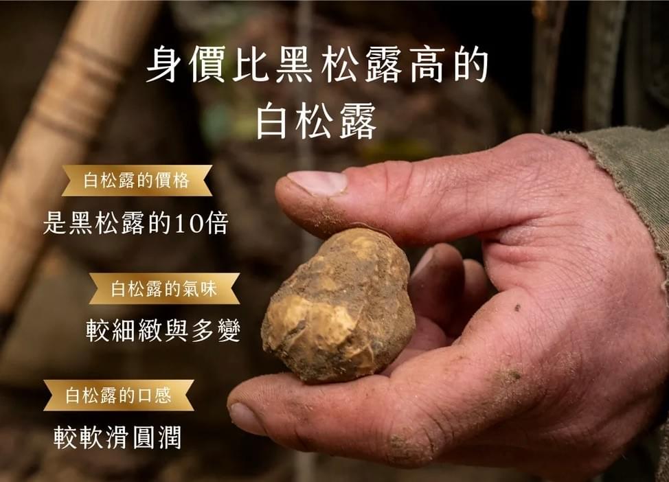 Jimmy義大利白松露風味特級初榨橄欖油 100ml