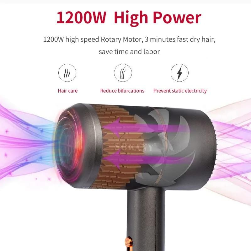 Blower SK-2202
