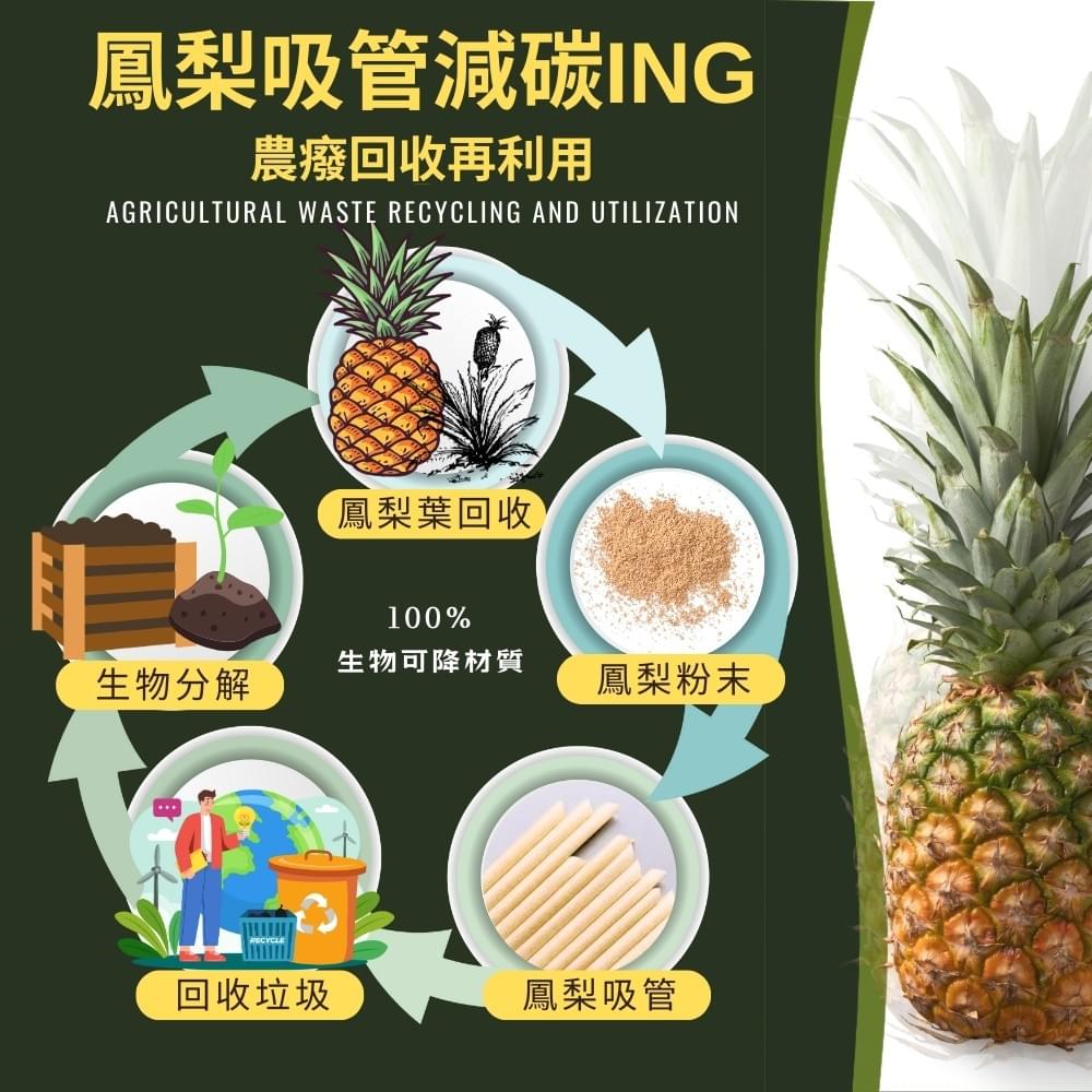 鳳梨吸篩