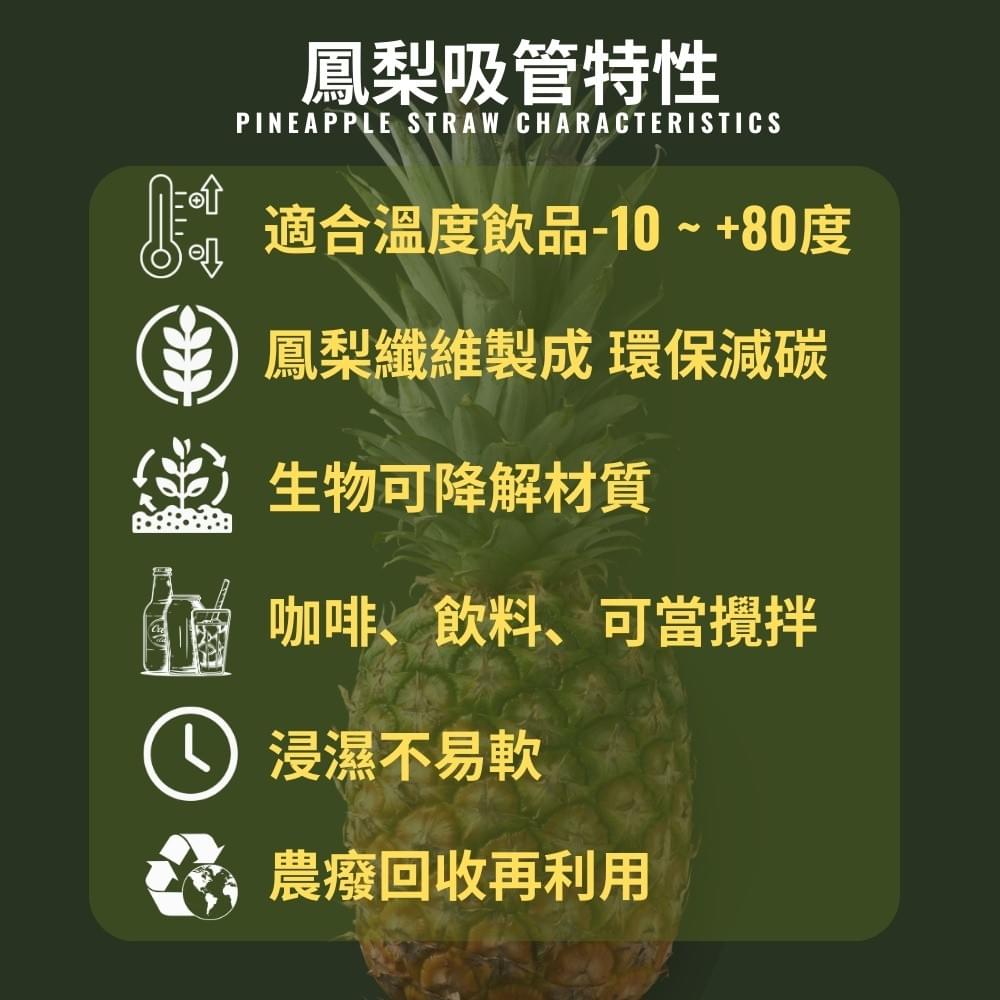 鳳梨吸篩