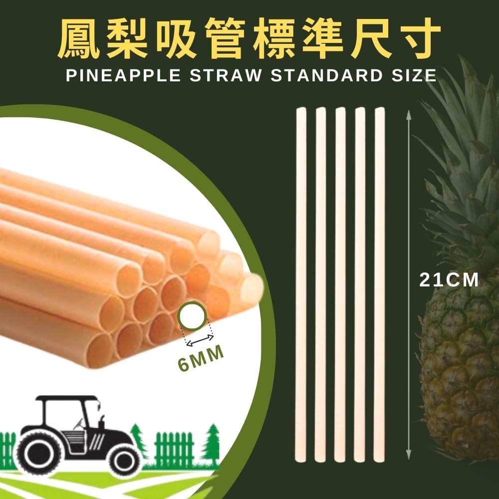 鳳梨吸篩