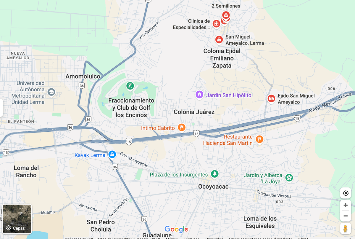 TERRENO LOS ENCINOS