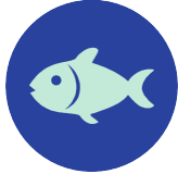 68.Fotomaki