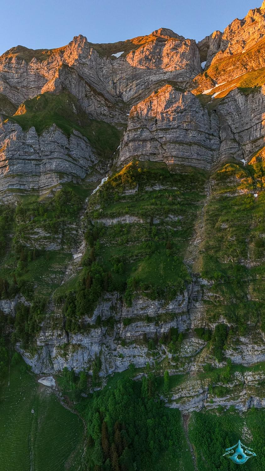 Section image