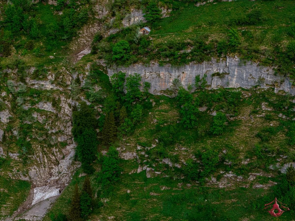 Section image