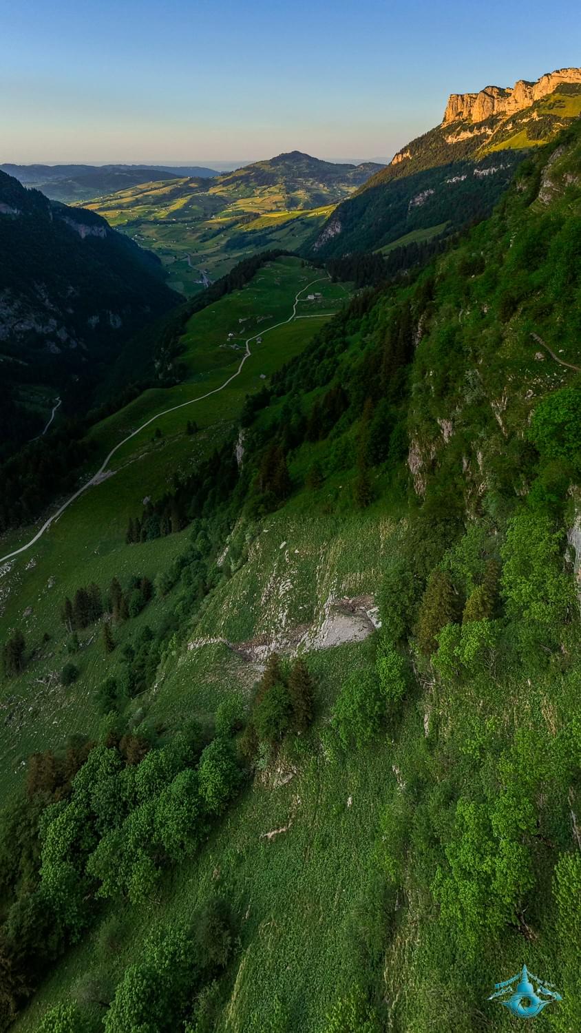 Section image