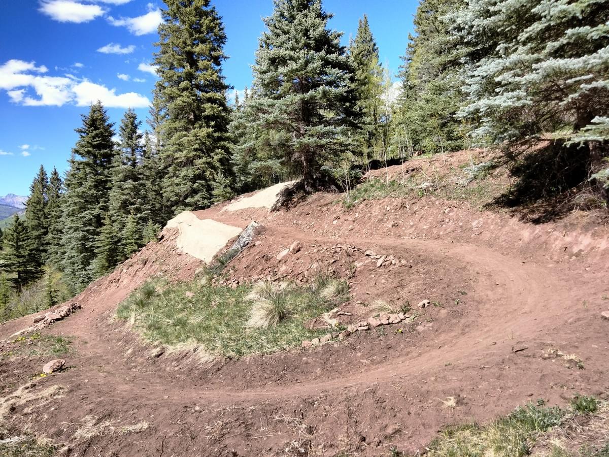 Section image