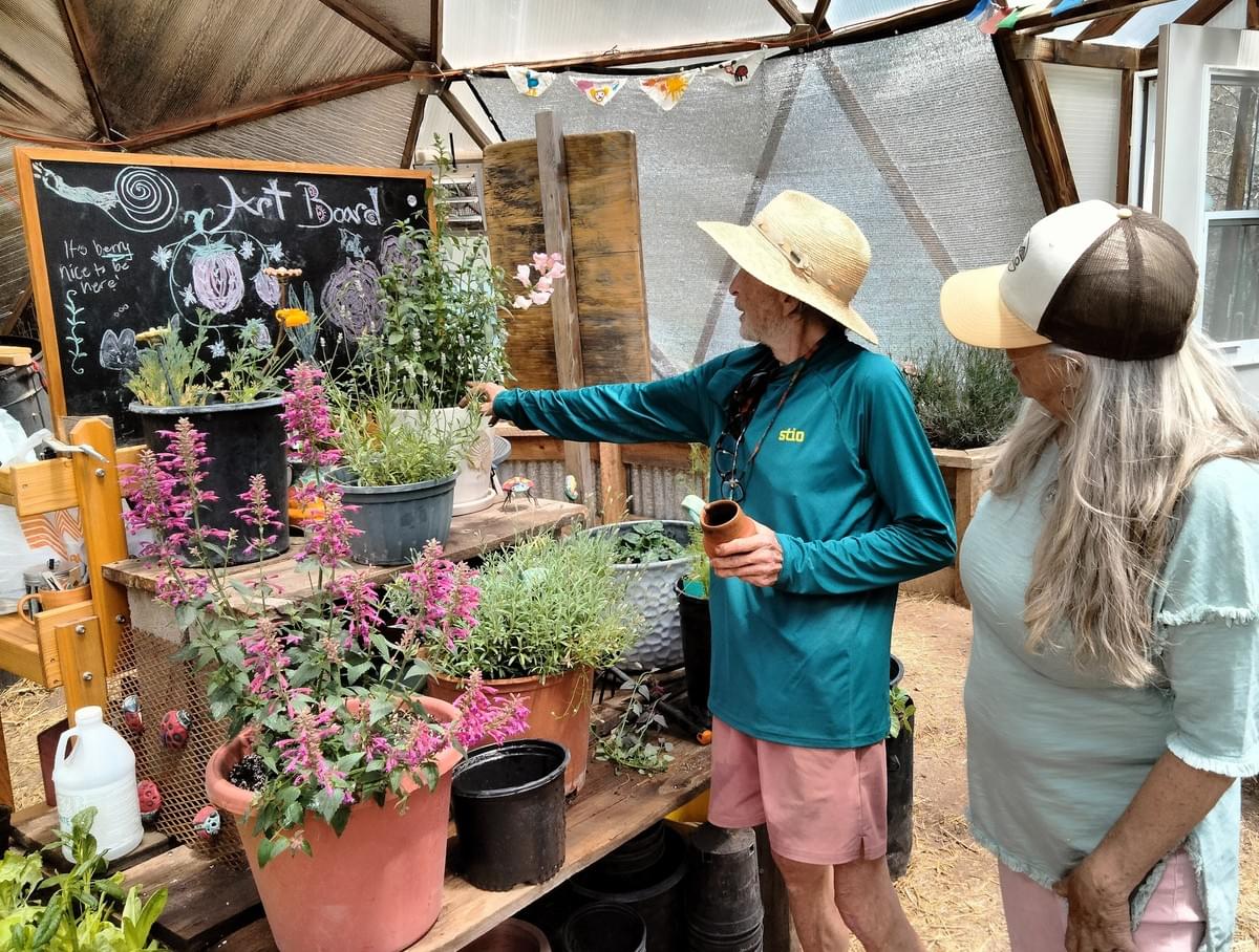 Planting party at Rico CO Piedmont Dome May 10, 2026