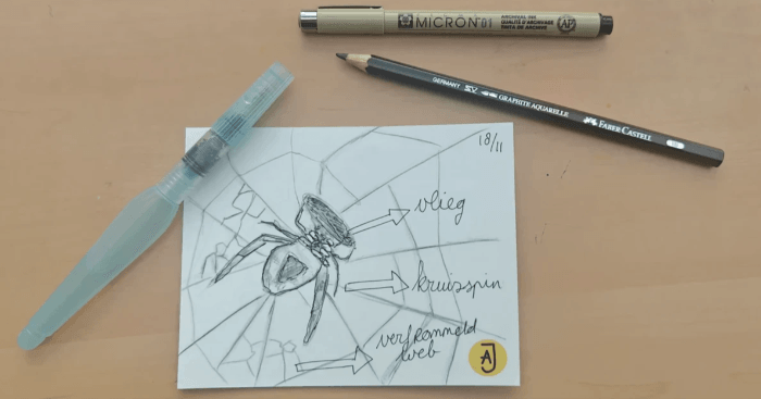 Spin met prooi getekend door arija in haar nature journal met wateroplosbaar grafiet