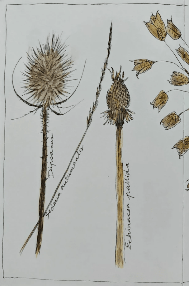 nature journal pagina in winterse kleuren als voorbeeld voor beginners door Arija Jansen