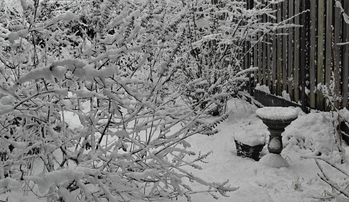 tuin in de sneeuw vastleggen in een tuindagboek, garden journaling Arija Jansen