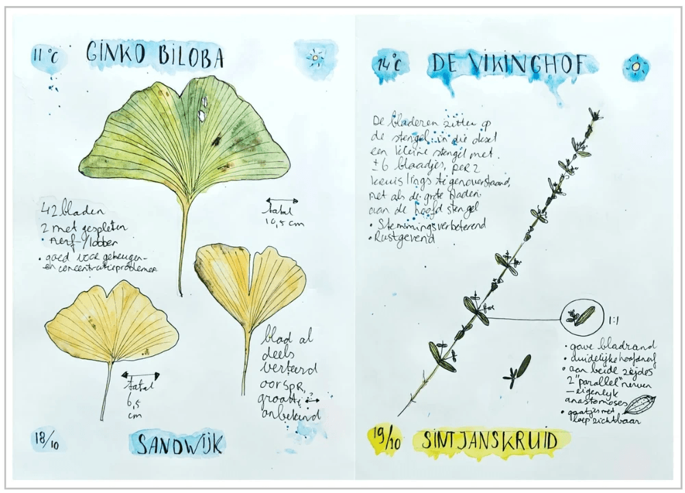 Nature journaling pagina Arija 2025 Nature journaling pagina Arija 2025