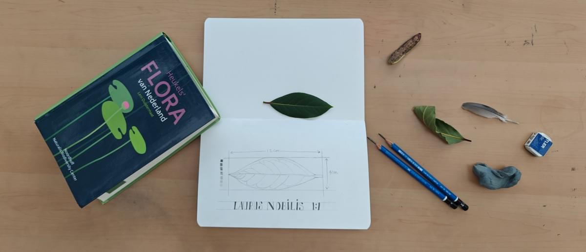 Natuurtekening met flora en materialen van Arija Jansen