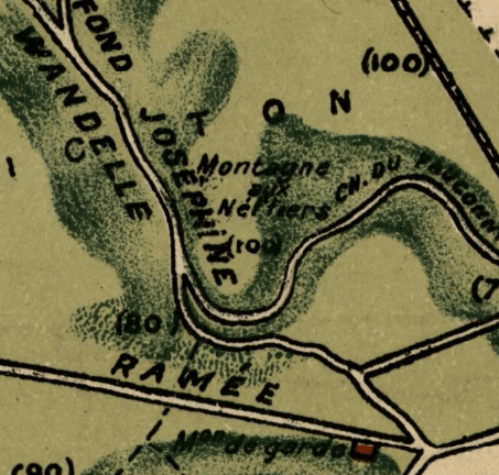 Section image