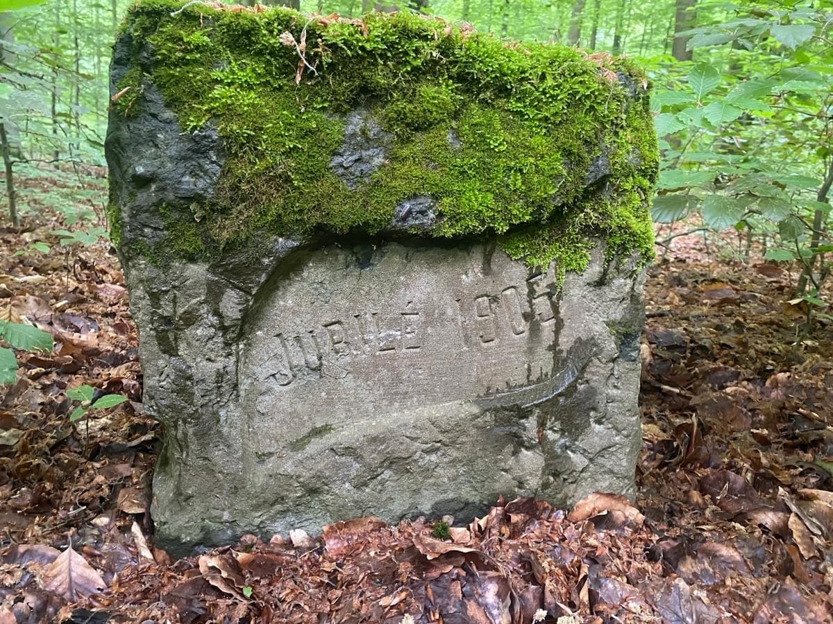 Section image