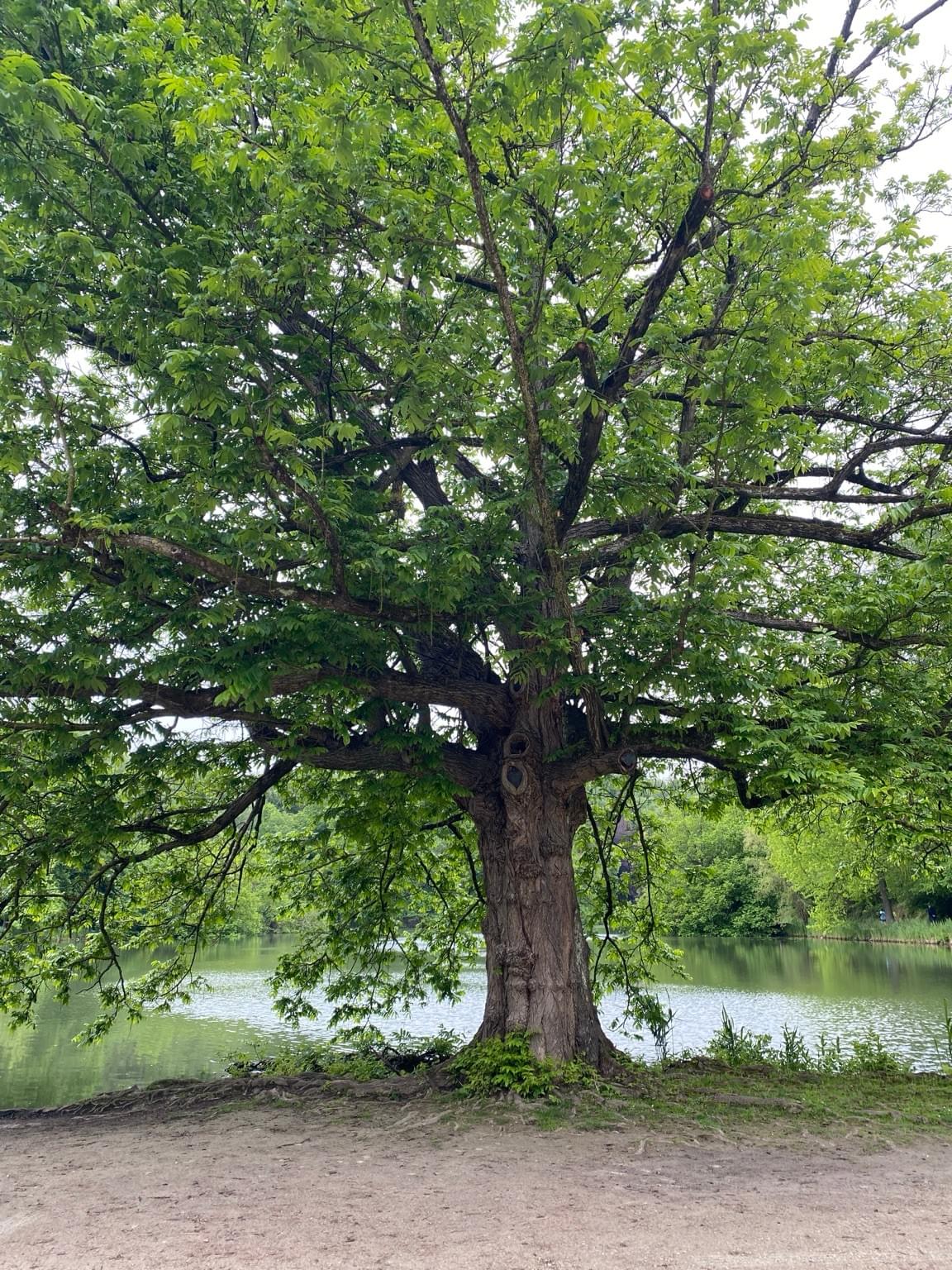Section image