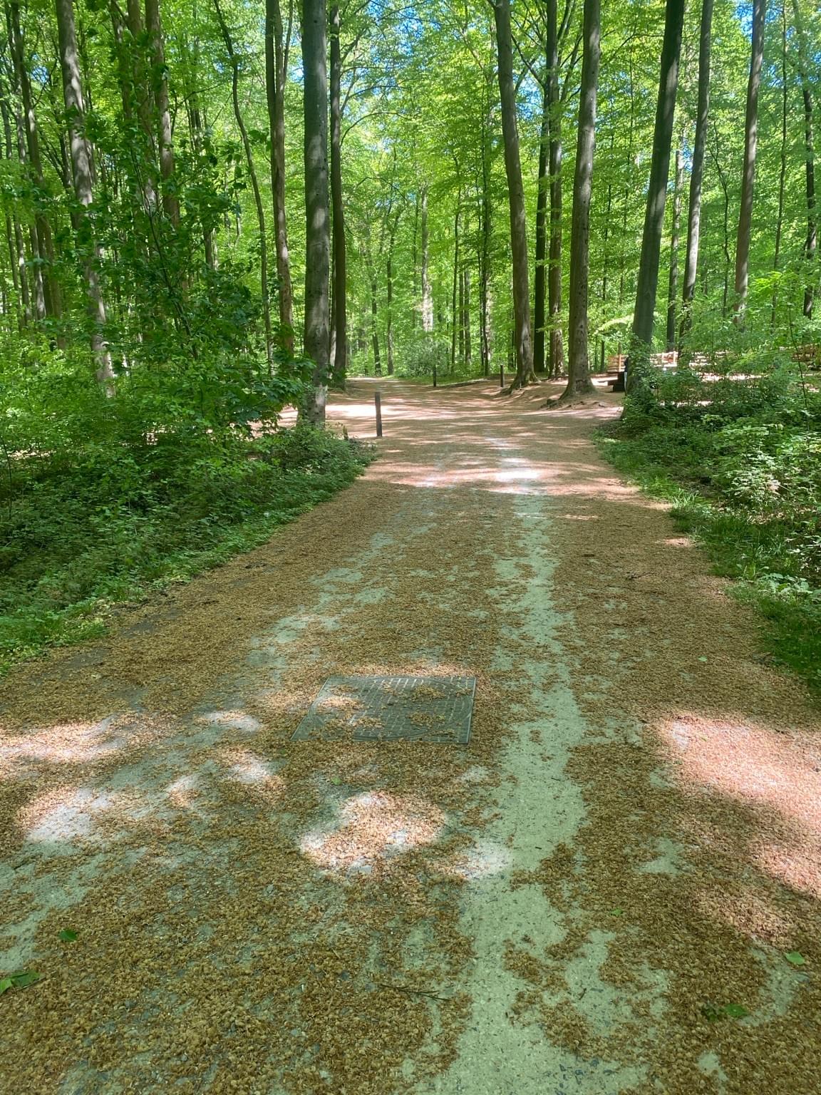Section image
