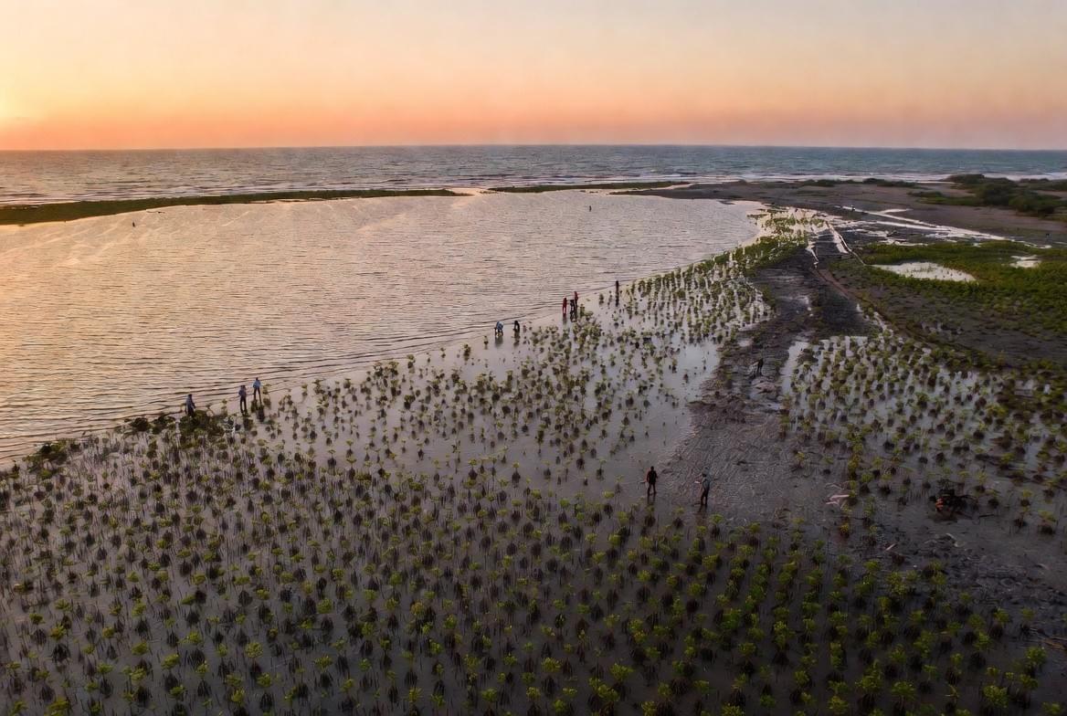 — Marie Koutou Thanks to La Petite Colline Benin, we were able to strengthen the capacities of young people so that they become agents of change in their community. Our commitment has improved the quality of life of many communities across Benin. Establishing and maintaining peace, fighting against poverty and other situations of vulnerability, and protecting the environment are principles that are stated in the fundamental law of most countries in the world. But such a mission cannot be solely the responsibility of the State, because even though it exercises its prerogatives, it also strives, through various legal provisions, to create the conditions to allow various organizations or structures to invest in the same direction. LPC-BENIN unites its members driven by the same ideal, to create bonds of understanding and solidarity among them to participate in education, good governance, and contribute to environmental protection.