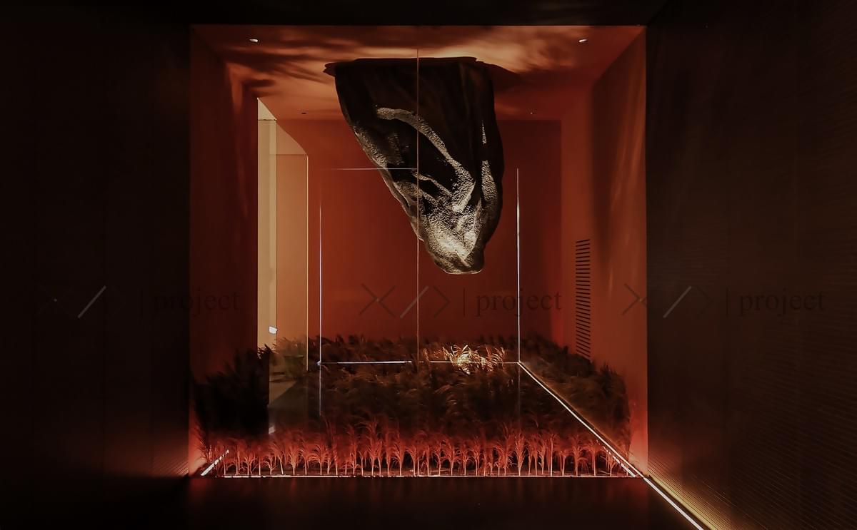 XYD-it.0008