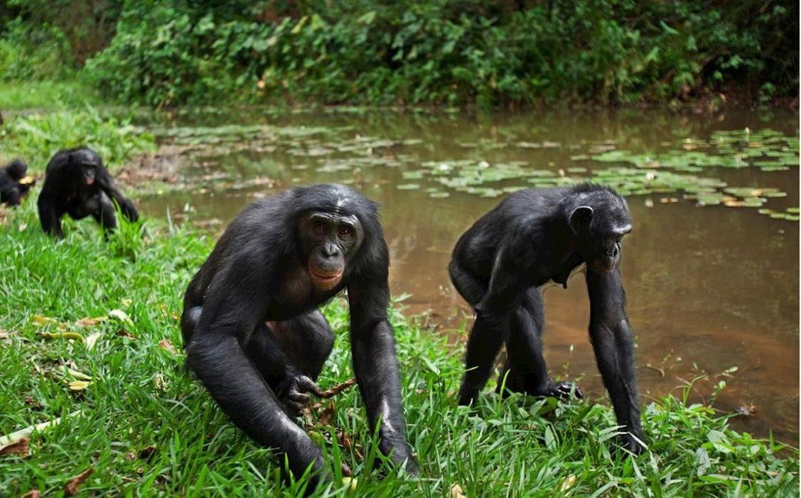 — Claire Lefèvre Their expertise in artificial intelligence has transformed the way I perceive challenges. They provide tailored and effective solutions. Our team has supported more than 500 companies in the optimization of their digital strategies. We are an analysis, a strategy, and a simplified informational resolution of your hyperbolic obstacles. We are scientifically a consultancy that would like, in the face of a resonant multitude of approaches, to bring more unique informational value in this maieutics of new technology and in this resilient constellation of artificial intelligence. We want to be paradoxically creative and innovative in solving the problems that humanity faces in its entrepreneurship. By submitting to it in a succinct manner and through the means of advanced new information technology tools, generative intelligence solutions. Our goal is to preserve natural humanity while adhering to competent artistic situations with connected reality. Therefore; ultimately propose special solutions as NAVAL RAVIKANT said "to provide special solutions to improve daily life in this hyper-connected world." BML CONSULTANCY LLT would like.