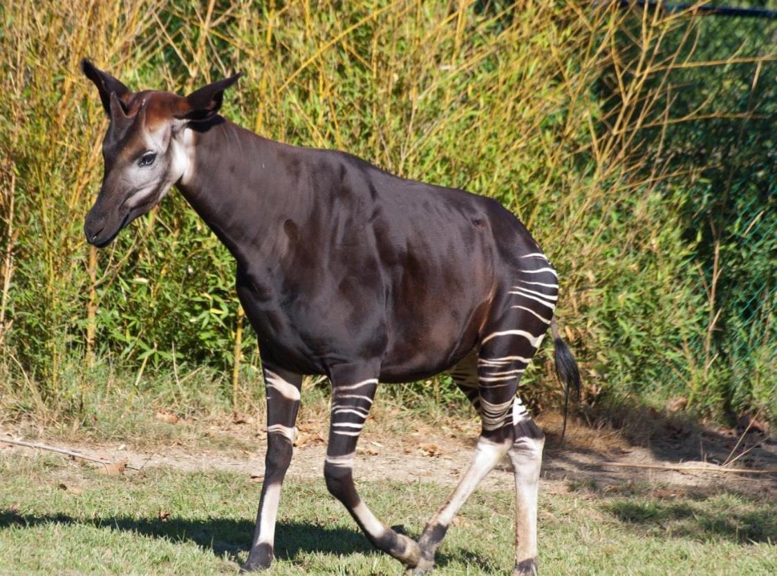 — Jean Dupont Thanks to BML Consultancy LLT, I was able to identify innovative solutions tailored to my specific needs. Their unique approach transformed my business vision. Our team has supported more than 500 companies in the optimization of their digital strategies. We are an analysis, a strategy, and a simplified informational resolution of your hyperbolic obstacles. We are scientifically a consultancy that would like to bring more unique informational value in this maieutics of new technology and in this resilient constellation of artificial intelligence in the face of a resonant of multiple approaches. We want to be paradoxically creative and innovative in solving the problems that humanity encounters in its entrepreneurship. By submitting to him succinctly and through the means of advanced new information technology tools generative intelligence solutions. Our goal is to preserve natural humanity while adhering in competent artistic situations with connected reality. So; ultimately propose special solutions as NAVAL RAVIKANT said "provide special solutions to improve daily life in this hyper-connected world." BML CONSULTANCY LLT would like.