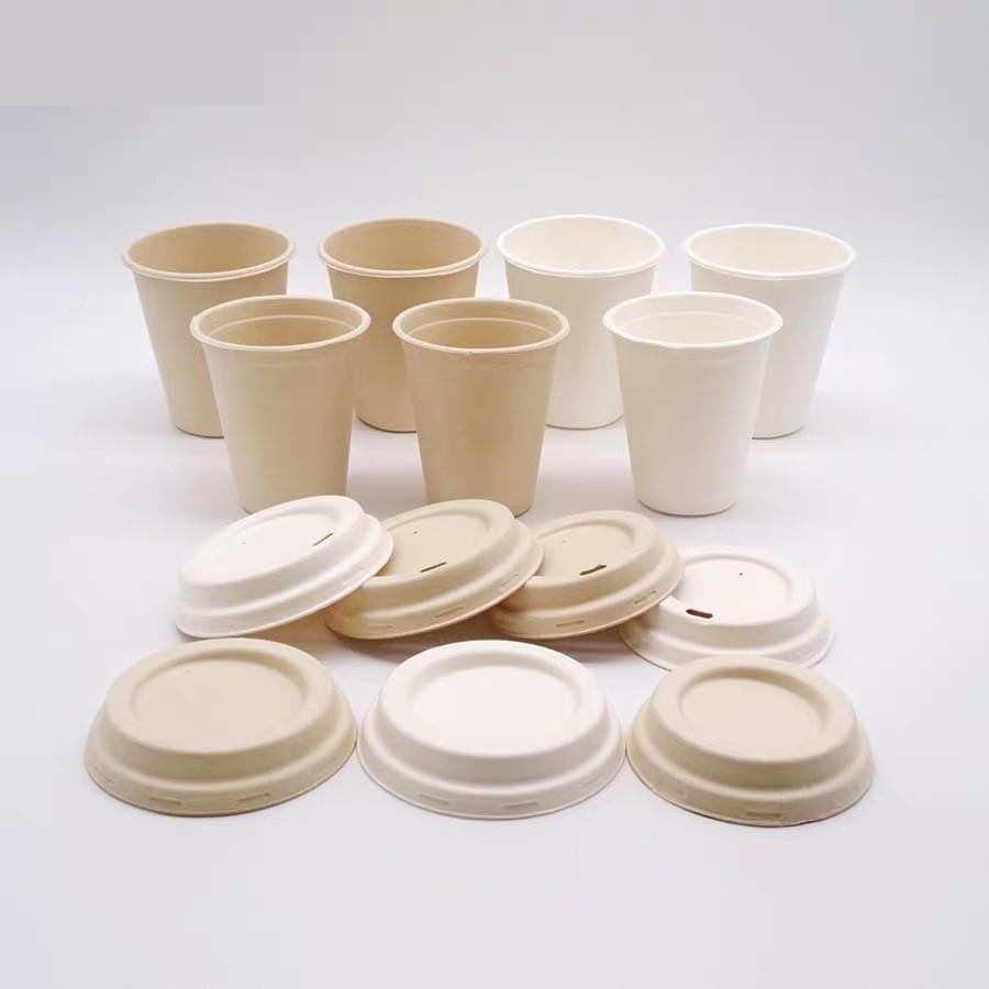 Eco-Friendly Biodegradable Compostable Sugarcane Bagasse Pulp Food Grade Disposable Takeout Cups with Lids