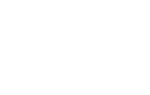 Best of the Show