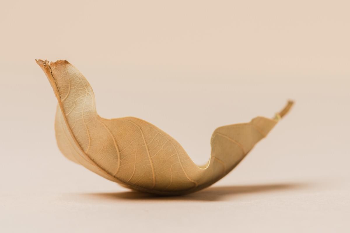 We offer programs for health prevention to support women in leading a healthy life. prevention programs Our services Evidence-based medicine for women. A page as a basis for my YouTube channel