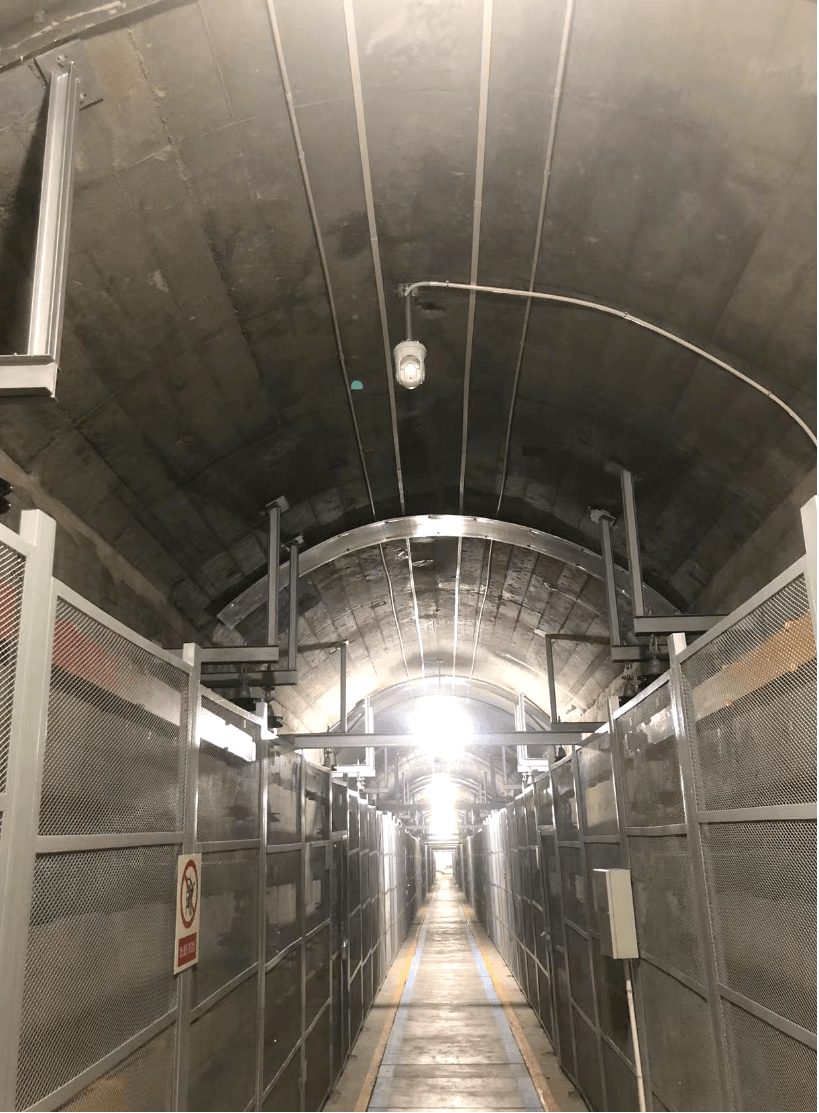 — Liu Fang As a project manager, Robot's products make complex automation processes simple and clear, greatly saving our time. Our team has helped over 1000 clients successfully implement their robot product plans. Advanced Robot product plan