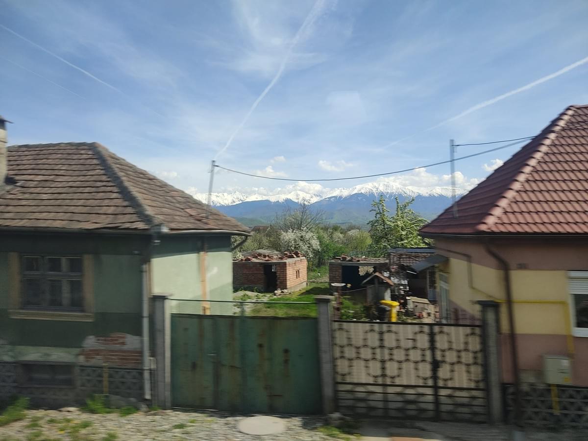 Section image