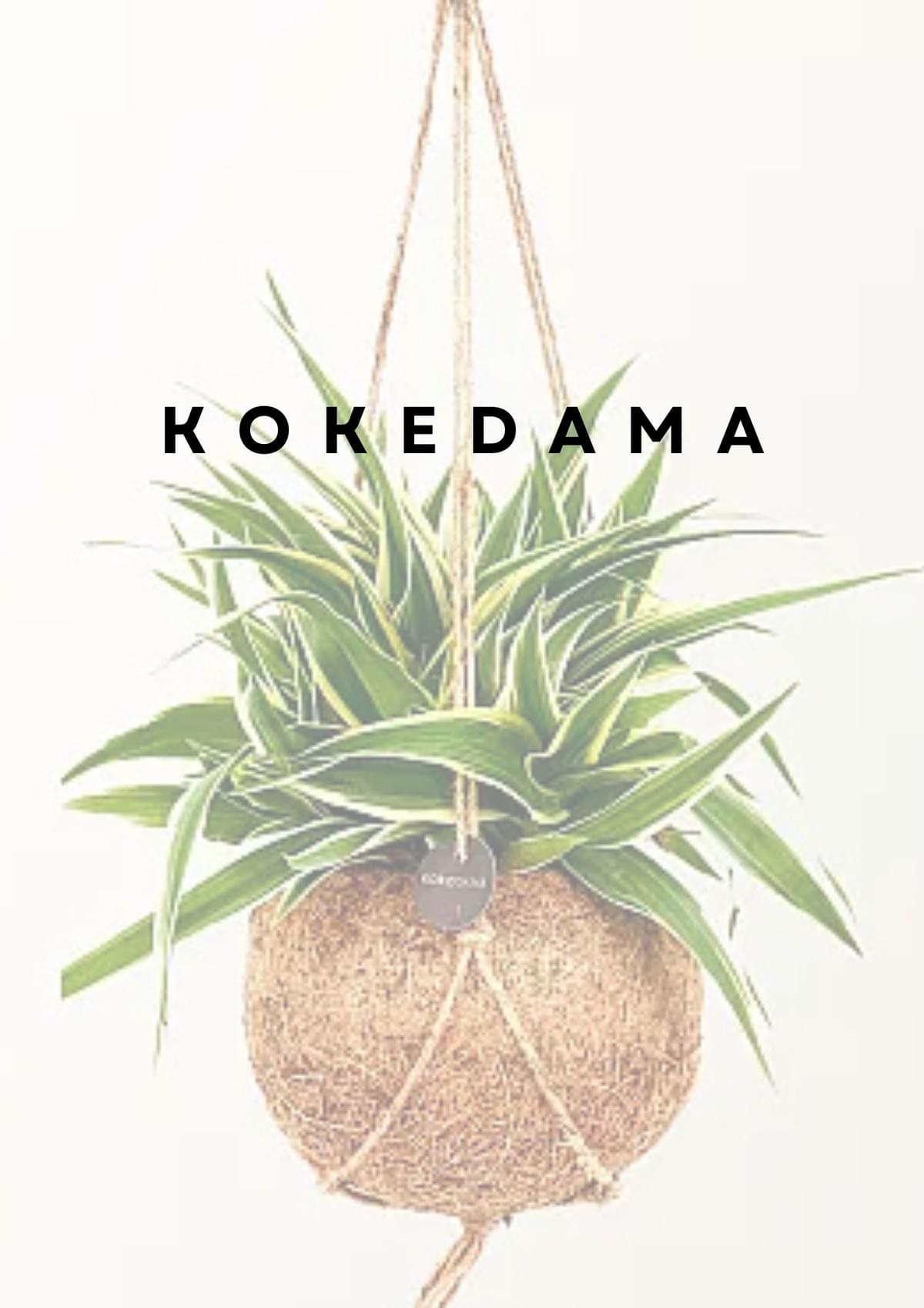 Correll Club is brining people together one sustainable craft at a time. 