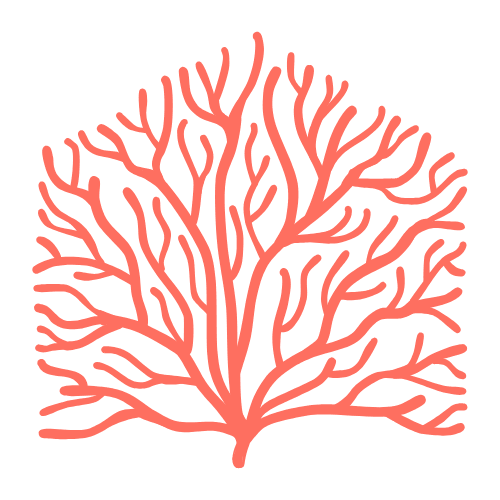 Correll Club is brining people together one sustainable craft at a time. 