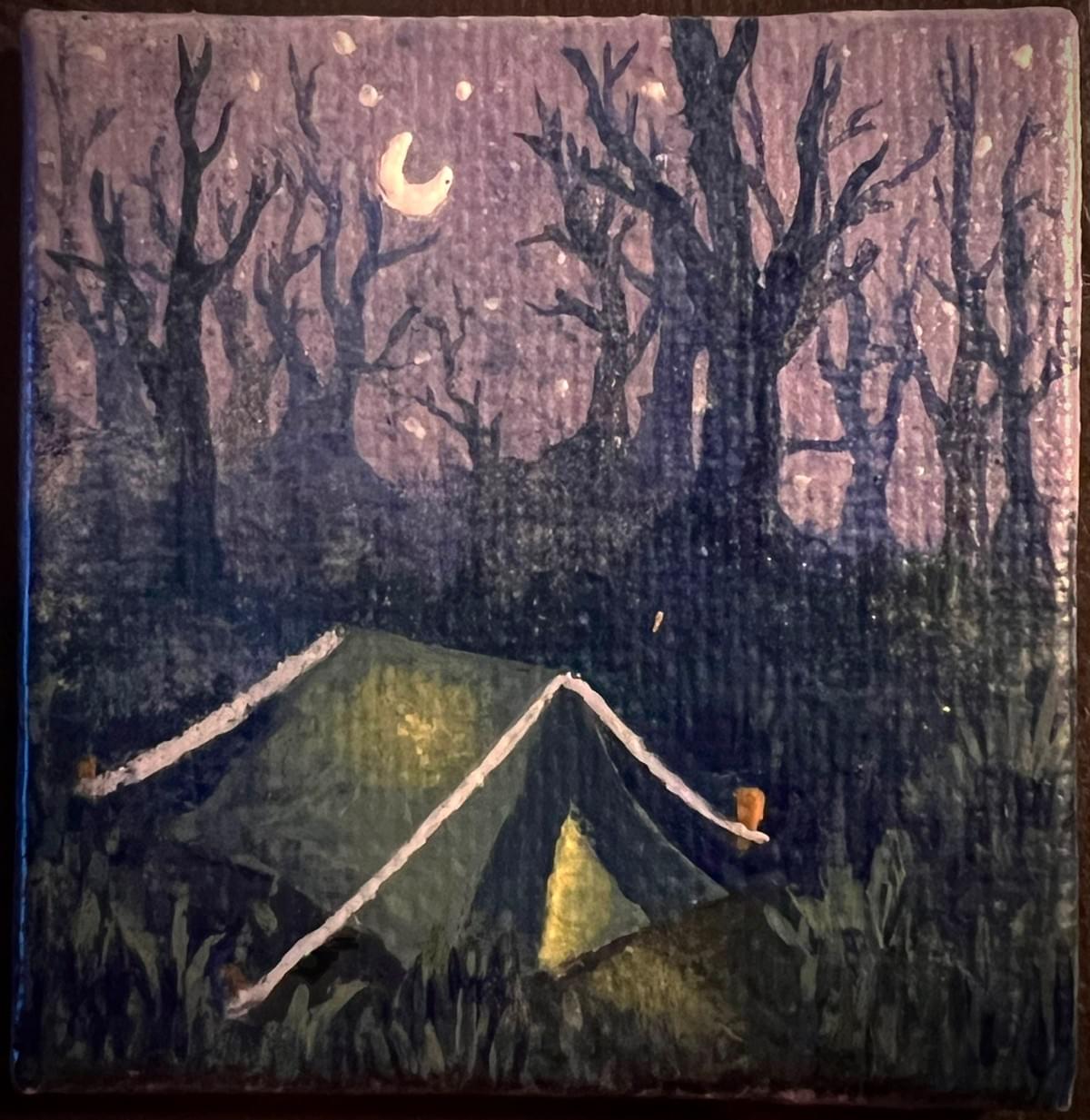 You see a small green tent illuminated from the inside by a lone lantern. It's dusk, the moon is at first quarter and a few stars have begun to appear across the night sky. You hear an owl coo in the distance and the rustling of the last of the day's songbirds as they settle in to the brush for the night. It's late fall when the the night puts a chill into your bones, the leaves are long gone from the bows of the trees, and fog begins to creep up from the earth... but you are safe in these woods. Nothing and no one out here means you any harm. The camper has left the tent open to invite in the cool air, and perhaps a friend. Maybe you could invite the camper to come out and star gaze with you? 
