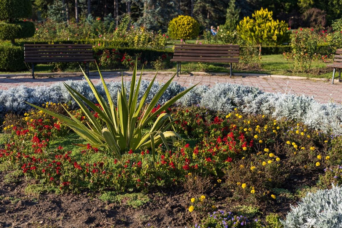 Section image