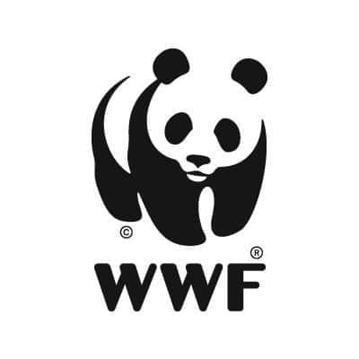 28 Summer Internships, WWF's BRIDGE Program