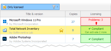 Easy software and license audit