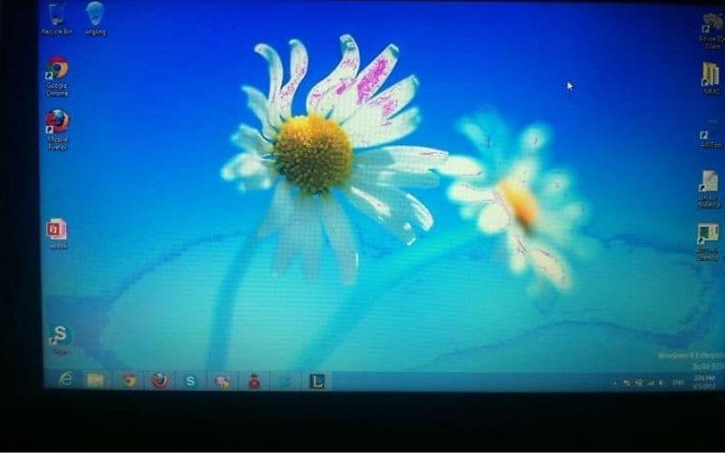 broken image